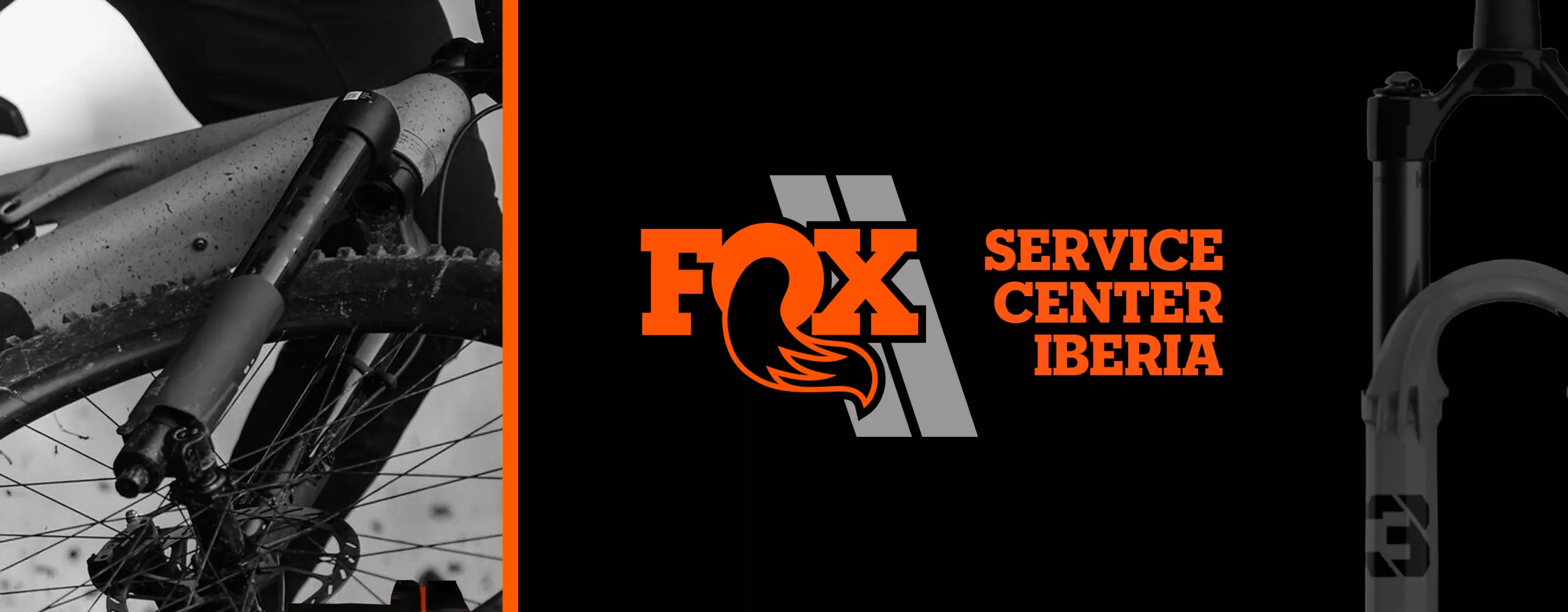 BANNER FOX SCI WEB scaled