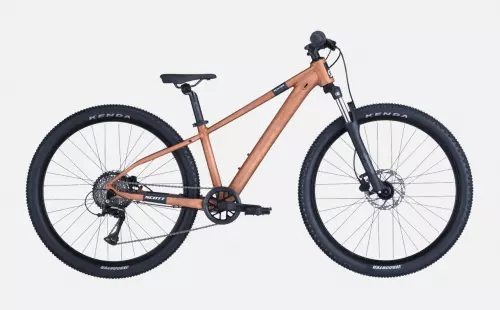 Roxter 600 bici BRONZE GRIS CATALOGO 1280x793 2